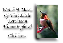 Hummingbird - click to watch a movie