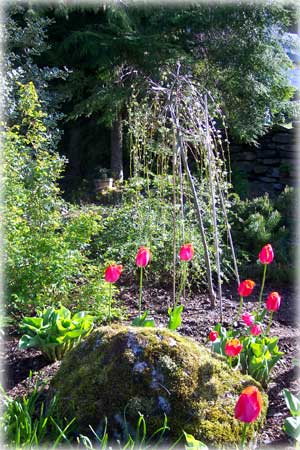 photo Joann Flora's garden