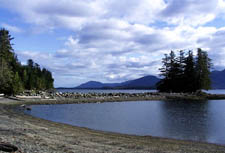 Buggies' Beach by Rick Grams