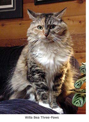 Willa Bea Three-Paws