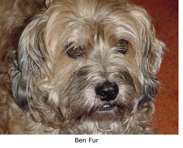Ben Fur