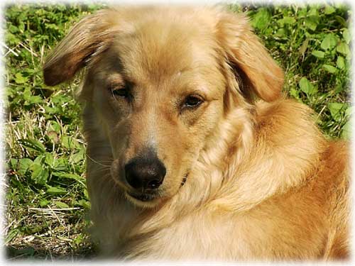 J. Roy Bean photo by MC Kauffman