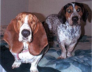 Buttercup & Gumpy
