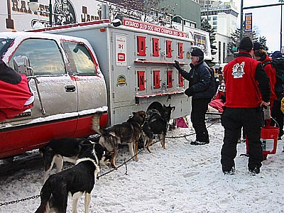 Jeff King's dogs & truck